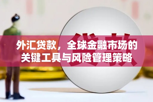 金秀外汇贷款，全球金融市场的关键工具与风险管理策略