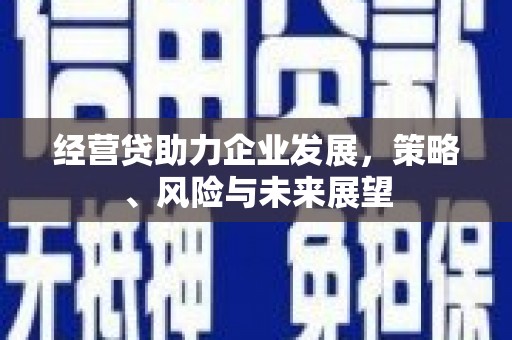 金秀经营贷助力企业发展，策略、风险与未来展望