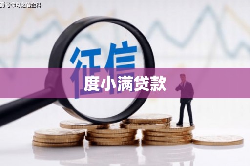 金秀度小满贷款