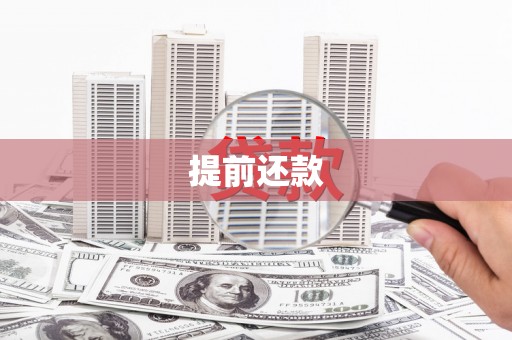金秀提前还款