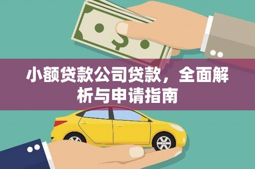 金秀小额贷款公司贷款，全面解析与申请指南