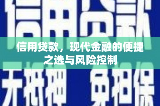 金秀信用贷款，现代金融的便捷之选与风险控制