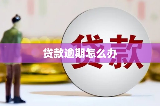 金秀贷款逾期怎么办