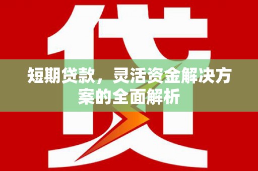 金秀短期贷款，灵活资金解决方案的全面解析