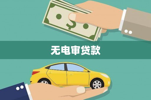 金秀无电审贷款