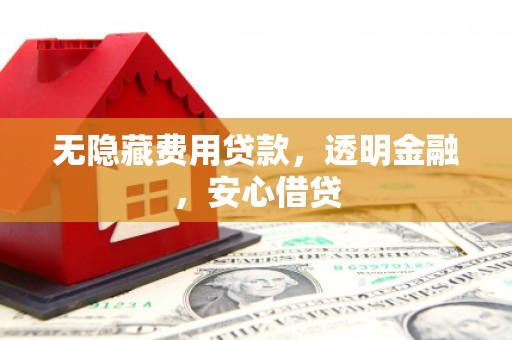 金秀无隐藏费用贷款，透明金融，安心借贷