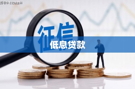 金秀低息贷款