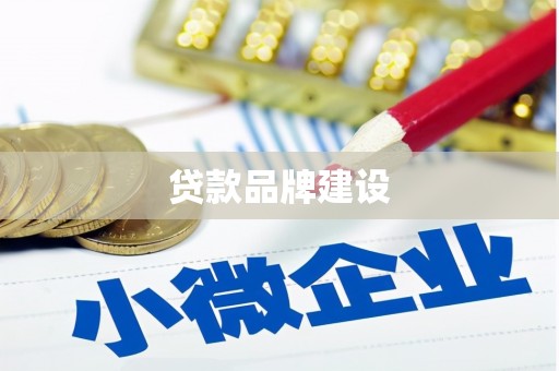 金秀贷款品牌建设
