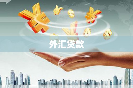 金秀外汇贷款