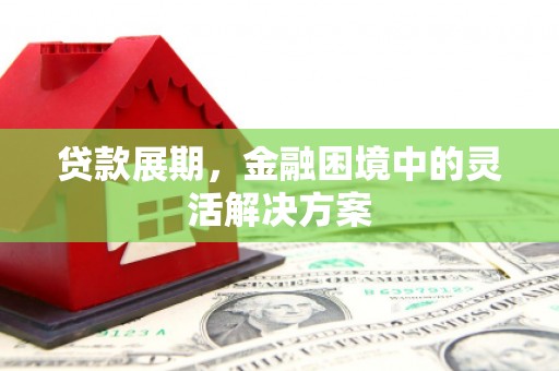 金秀贷款展期，金融困境中的灵活解决方案