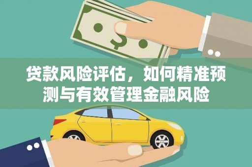 金秀贷款风险评估，如何精准预测与有效管理金融风险