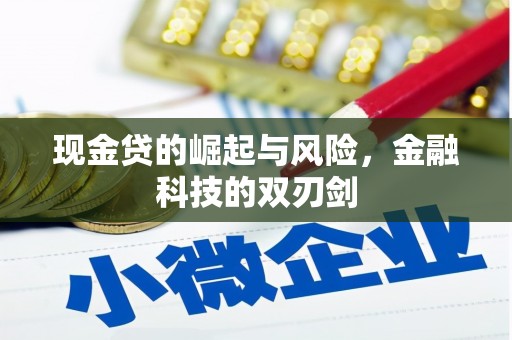 金秀现金贷的崛起与风险，金融科技的双刃剑