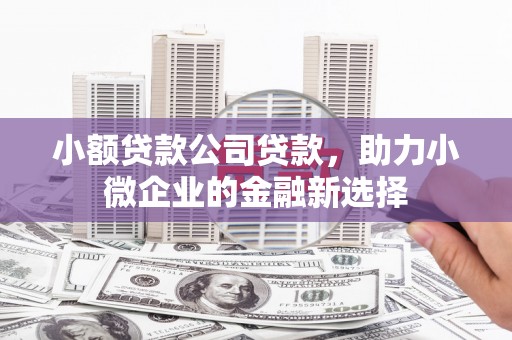 金秀小额贷款公司贷款，助力小微企业的金融新选择