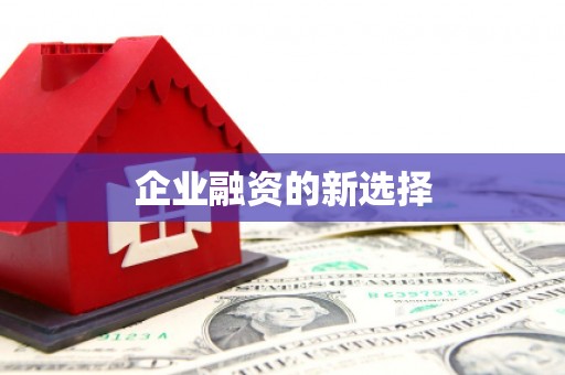 金秀企业融资的新选择