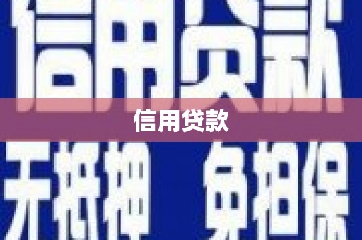 金秀信用贷款