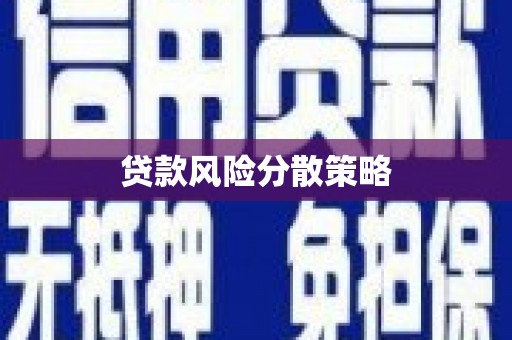 金秀贷款风险分散策略