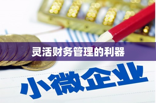 金秀灵活财务管理的利器