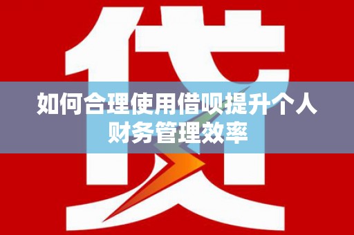 金秀如何合理使用借呗提升个人财务管理效率