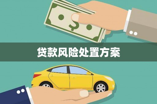 金秀贷款风险处置方案