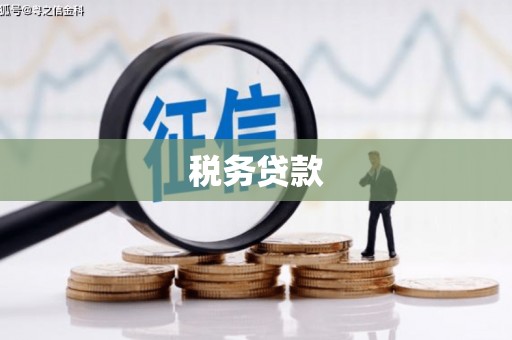 金秀税务贷款