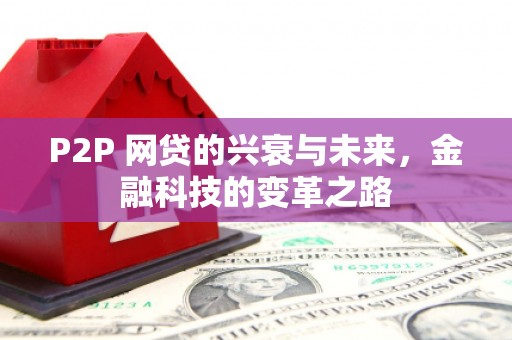 金秀P2P 网贷的兴衰与未来，金融科技的变革之路