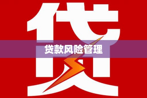 金秀贷款风险管理