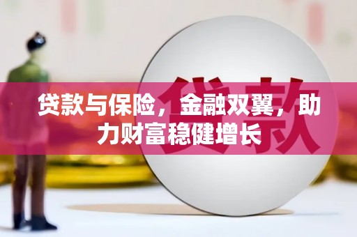金秀贷款与保险，金融双翼，助力财富稳健增长