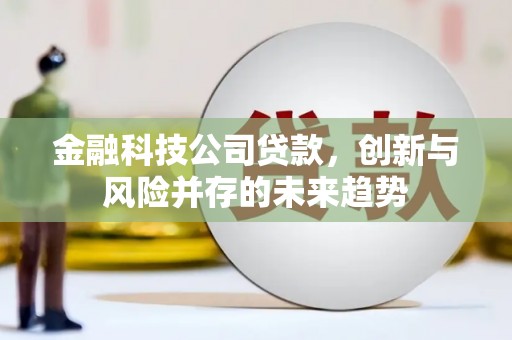 金秀金融科技公司贷款，创新与风险并存的未来趋势