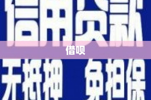 金秀借呗