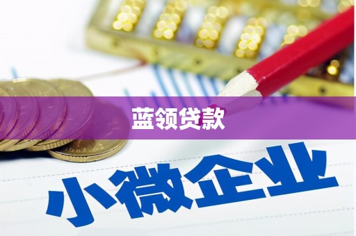 金秀蓝领贷款