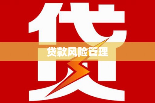金秀贷款风险管理