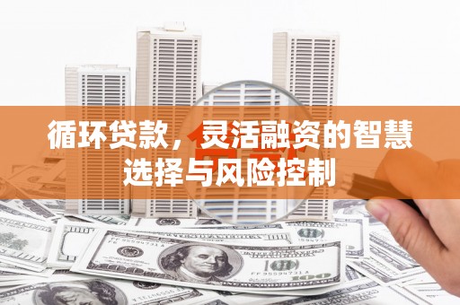 金秀循环贷款，灵活融资的智慧选择与风险控制