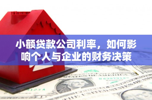 金秀小额贷款公司利率，如何影响个人与企业的财务决策