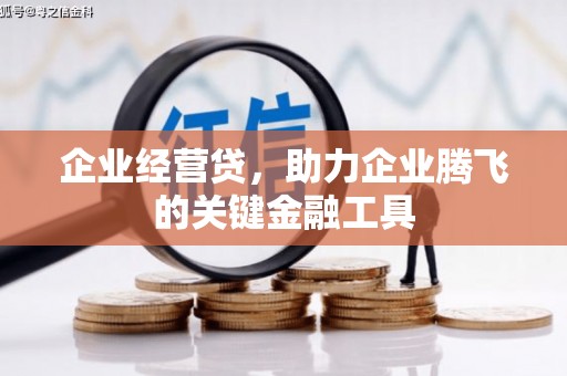 金秀企业经营贷，助力企业腾飞的关键金融工具
