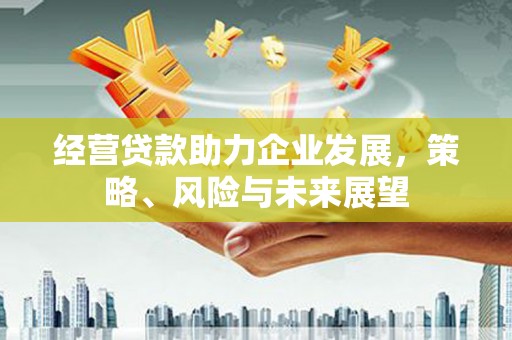 金秀经营贷款助力企业发展，策略、风险与未来展望