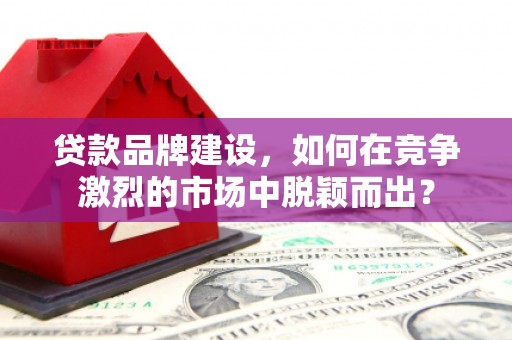 金秀贷款品牌建设，如何在竞争激烈的市场中脱颖而出？