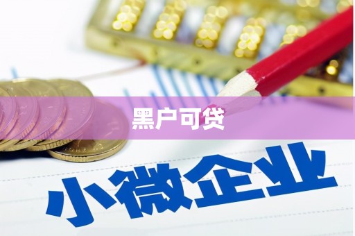 金秀黑户可贷