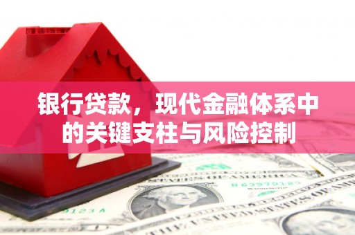 金秀银行贷款，现代金融体系中的关键支柱与风险控制