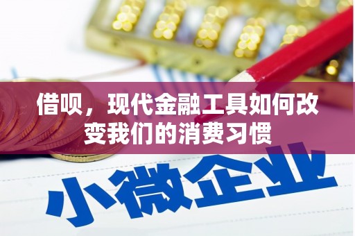 金秀借呗，现代金融工具如何改变我们的消费习惯