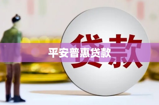 金秀平安普惠贷款