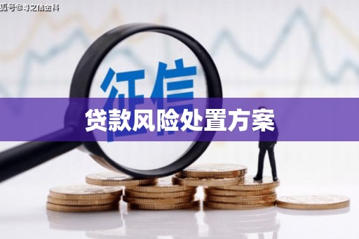 金秀贷款风险处置方案