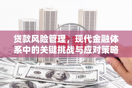 金秀贷款风险管理，现代金融体系中的关键挑战与应对策略