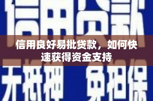 金秀信用良好易批贷款，如何快速获得资金支持