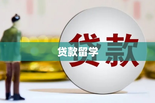 金秀贷款留学