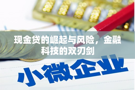 金秀现金贷的崛起与风险，金融科技的双刃剑