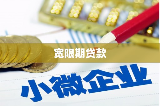 金秀宽限期贷款