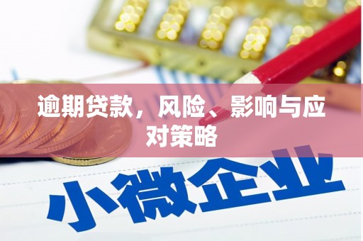 金秀逾期贷款，风险、影响与应对策略