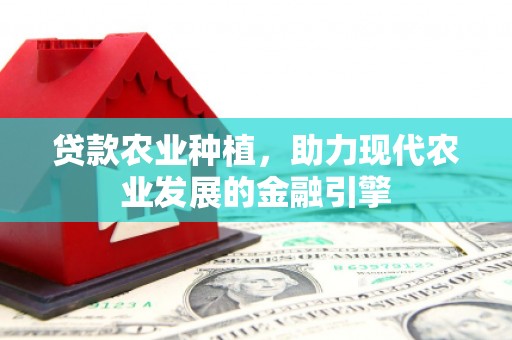 金秀贷款农业种植，助力现代农业发展的金融引擎