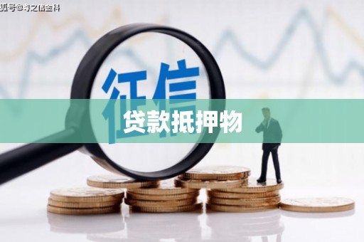 金秀贷款抵押物