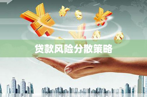 金秀贷款风险分散策略